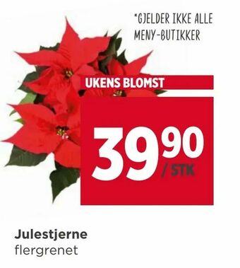 Meny Julestjerne tilbud
