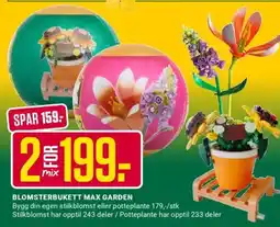 Europris BLOMSTERBUKETT MAX GARDEN tilbud