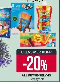 Europris ALL FRYSE-SELV-IS Flere typer! tilbud