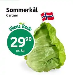 Joker Sommerkål tilbud