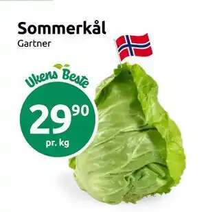 Joker Sommerkål tilbud