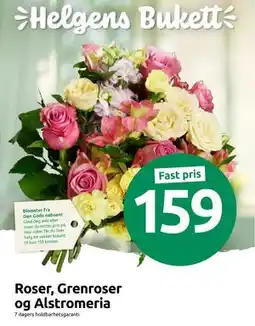 Joker Roser, Grenroser og Alstromeria tilbud