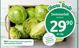 Joker Sommerkål tilbud