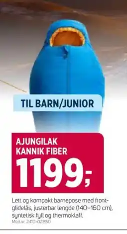 Sport 1 Ajungilak kannik fiber tilbud