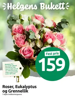 Joker Roser, Eukalyptus og Grennellik tilbud