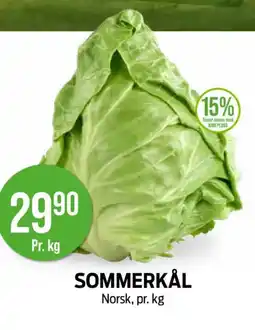Kiwi Sommerkål tilbud