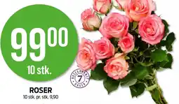 Kiwi Roser tilbud