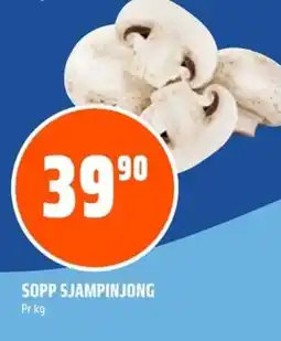 Coop Obs Sopp sjampinjong tilbud