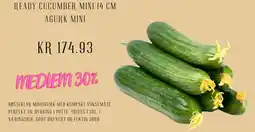 Plantasjen Ready cucumber mini 14 cm agurk mini tilbud