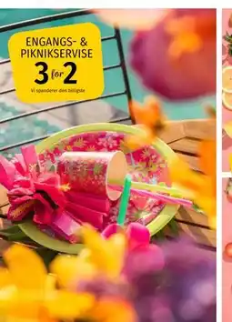 Nille ENGANGS- & PIKNIKSERVISE tilbud