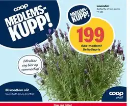 Coop Extra Lavendel tilbud