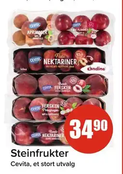 Spar Steinfrukter tilbud