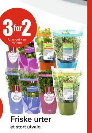 Spar Friske urter tilbud