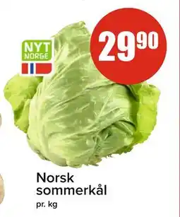 Spar Norsk sommerkål tilbud