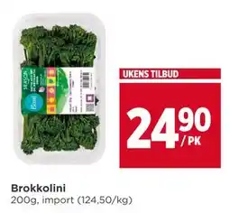 Meny Brokkolini tilbud