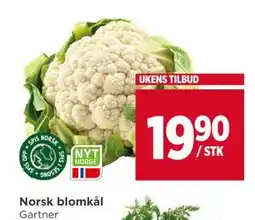 Meny Norsk blomkål tilbud