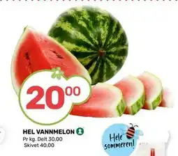 Matkroken HEL VANNMELON tilbud