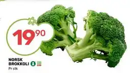 Matkroken NORSK BROKKOLI tilbud