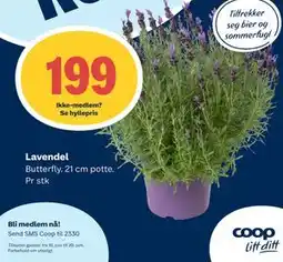 Coop Prix Lavendel tilbud