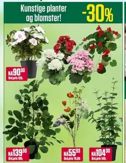 Europris Kunstige planter og blomster! tilbud