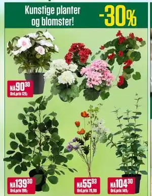 Europris Kunstige planter og blomster! tilbud