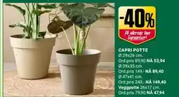 Europris CAPRI POTTE tilbud