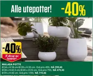Europris MALAGA POTTE tilbud