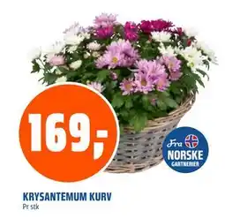 Coop Obs KRYSANTEMUM KURV tilbud
