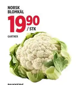 Jacobs NORSK BLOMKÅL tilbud