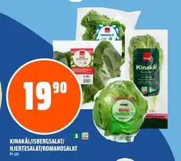 Coop Obs KINAKÅL/ISBERGSALAT/ HJERTESALAT/ROMANOSALAT tilbud