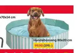 Rusta Hundebasseng 80x20 cm tilbud