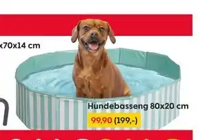 Rusta Hundebasseng 80x20 cm tilbud