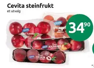 Joker Cevita steinfrukt tilbud