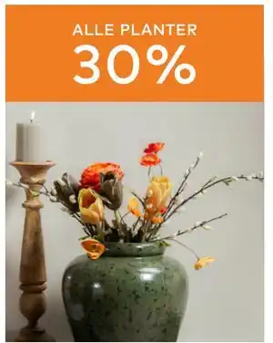 Skeidar ALLE PLANTER tilbud