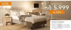 Skeidar PREMIUM 10 RAMMESENG tilbud