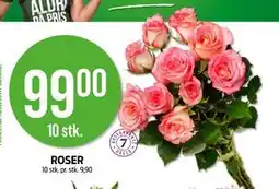 Kiwi ROSER tilbud
