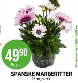 Kiwi SPANSKE MARGERITTER tilbud