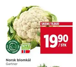 Meny Norsk blomkål tilbud