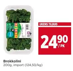 Meny Brokkolini tilbud
