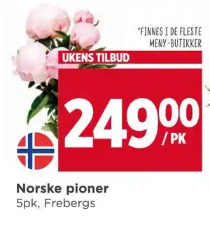 Meny Norske pioner tilbud