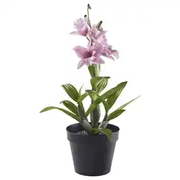 IKEA Fejka Kunstig potteplante, inne/ute/dendrobium nobile rosa, 12 cm tilbud