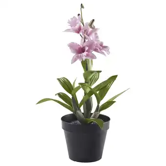 IKEA Fejka Kunstig potteplante, inne/ute/dendrobium nobile rosa, 12 cm tilbud