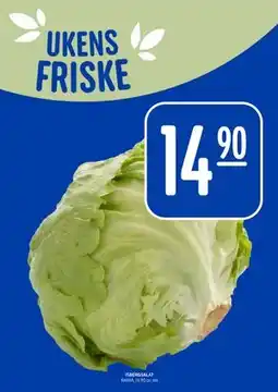 Rema 1000 ISBERGSALAT tilbud