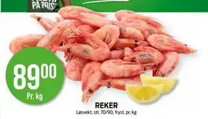 Kiwi REKER tilbud