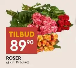 Coop Mega ROSER tilbud