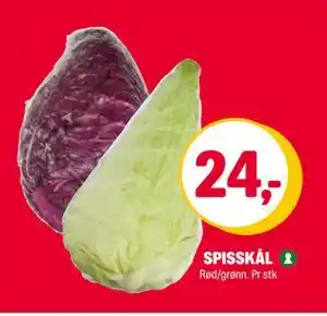 Coop Extra SPISSKÅL tilbud