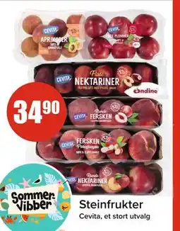 Spar Steinfrukter tilbud