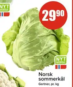 Spar Norsk sommerkål tilbud