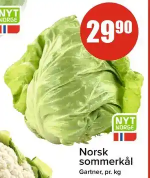 Spar Norsk sommerkål tilbud