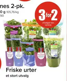 Spar Friske urter tilbud
